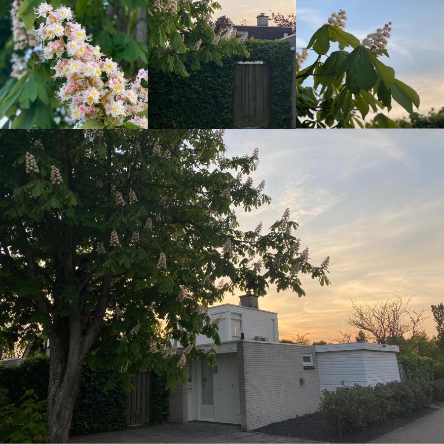 Vakantiebungalow Mee Aan Zee Ouddorp